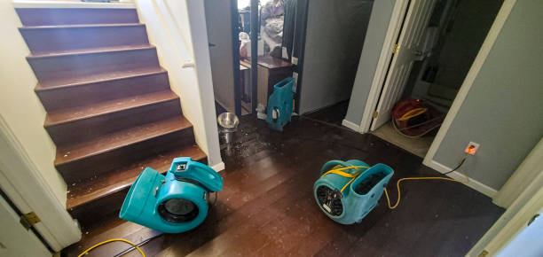 Best Local water damage restoration  in Central City, PA