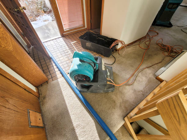 Best Ceiling water damage repair  in Central City, PA