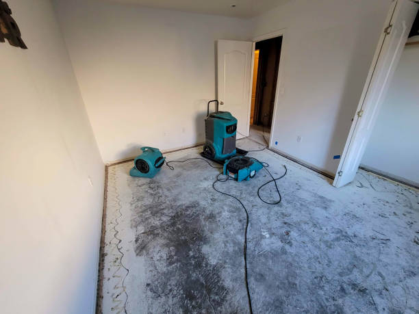 Best Sewage cleanup and water damage restoration  in Central City, PA