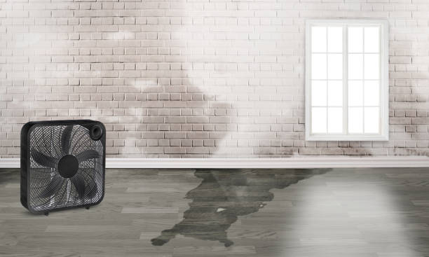 Best 24/7 water damage repair  in Central City, PA
