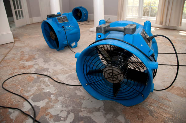 Best Professional water damage repair  in Central City, PA