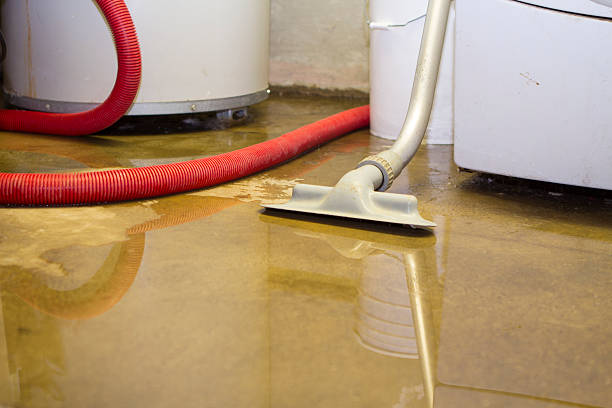 Best Flood damage cleanup  in Central City, PA