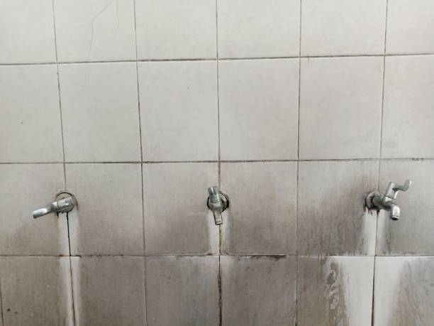 Best Water damage contractors near me  in Central City, PA