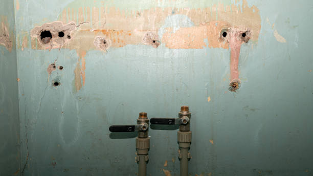 Best Flood restoration services  in Central City, PA