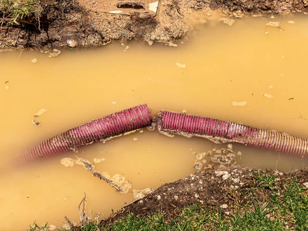 Best Water damage cleanup near me  in Central City, PA